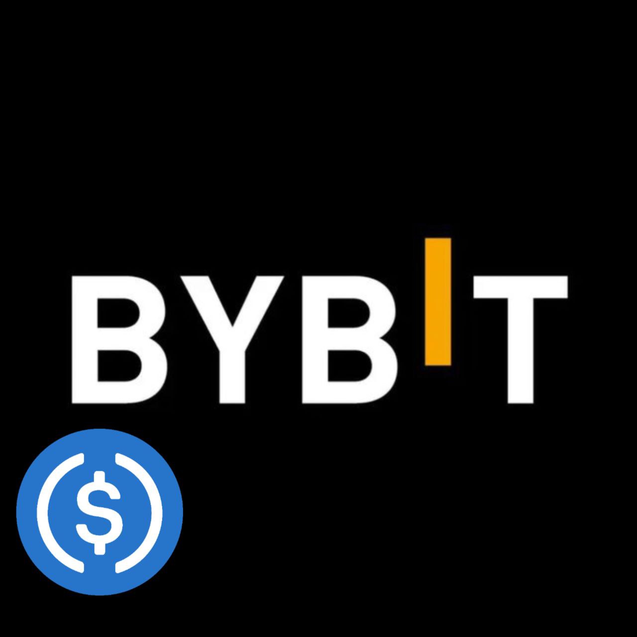 BYBIT USDC