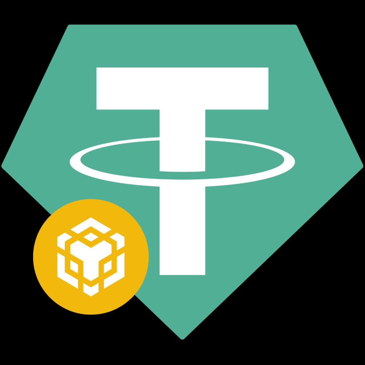 USDT BSC
